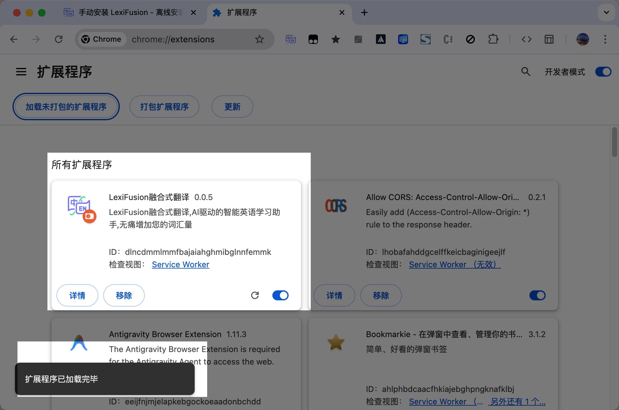 Windows 成功加载 LexiFusion 扩展后的页面